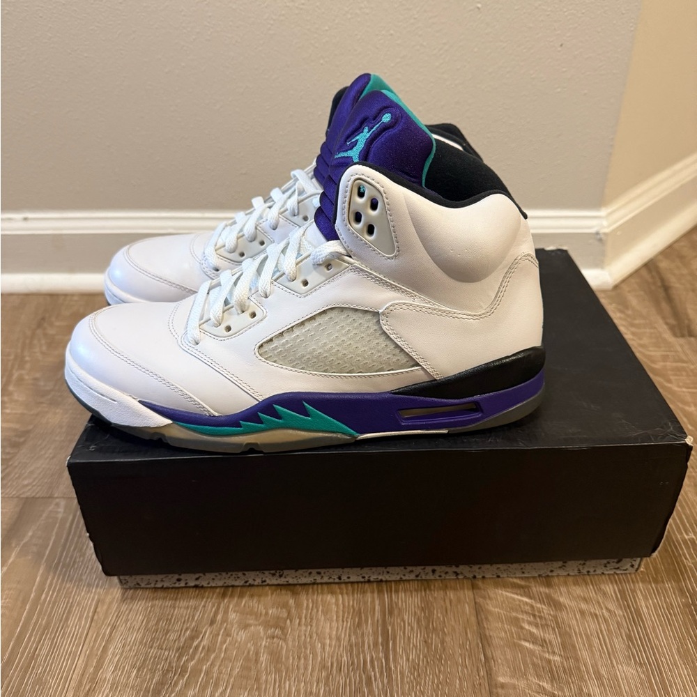 Air Jordan grape v 5 2013 Size 10